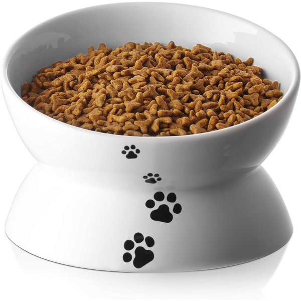 Are Raised Food Bowls Bad For Dogs